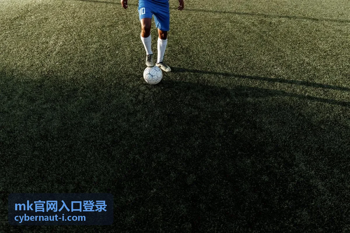 mk官网入口登录 绑定手机号与备用邮箱维护说明
