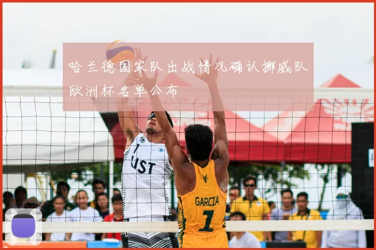 哈兰德国家队出战情况确认挪威队欧洲杯名单公布